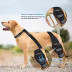 Dog Knee Support Brace