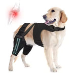 Dog Knee Support Brace