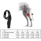 Dog Knee Support Brace
